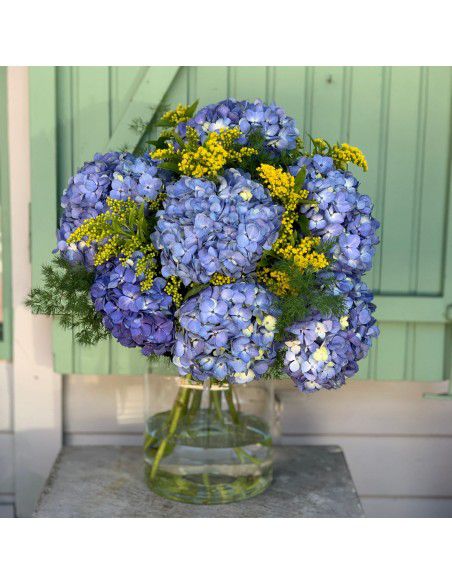 Ramo de hortensias azules